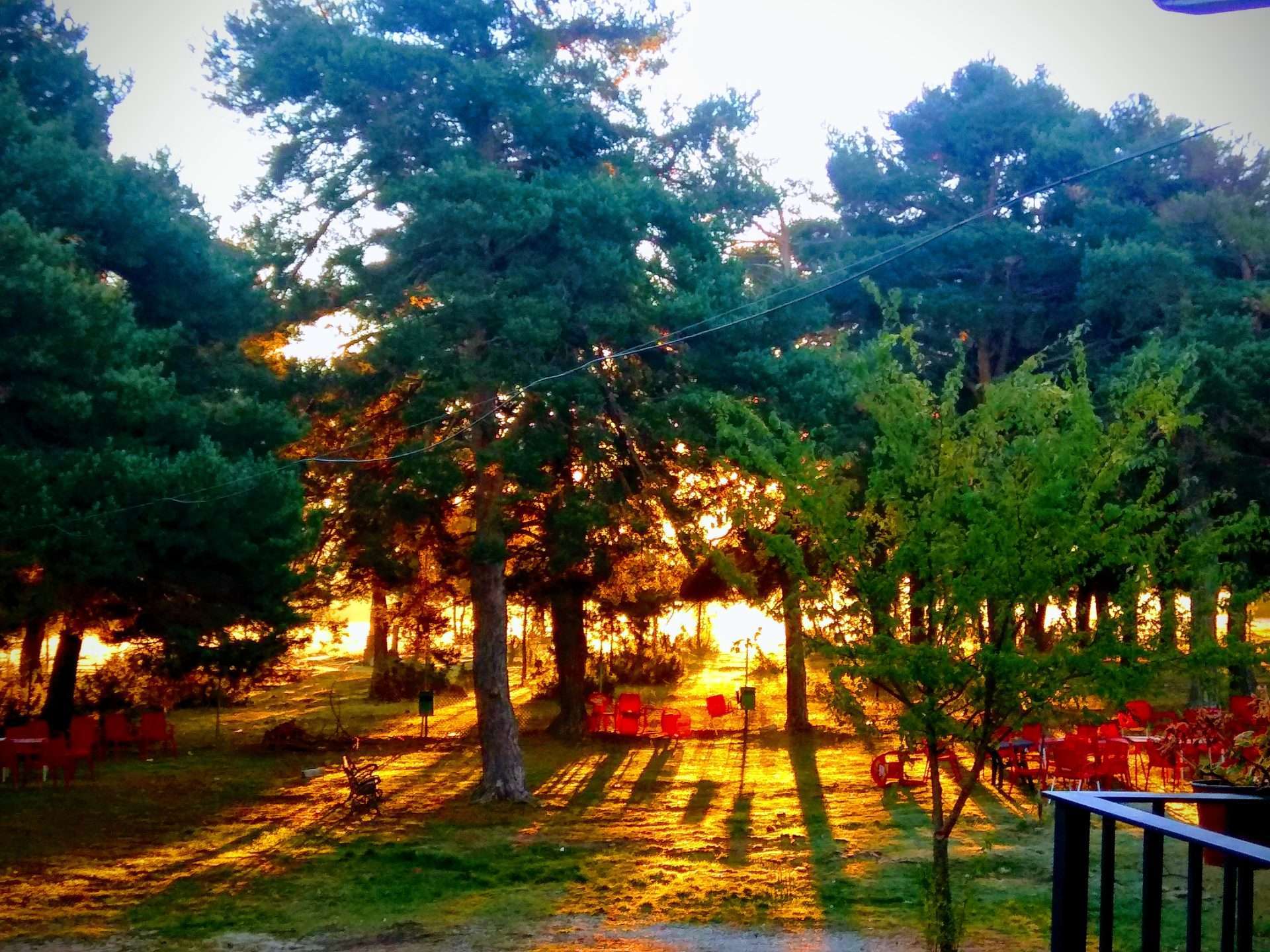 Camping Los Bonales — photo 5