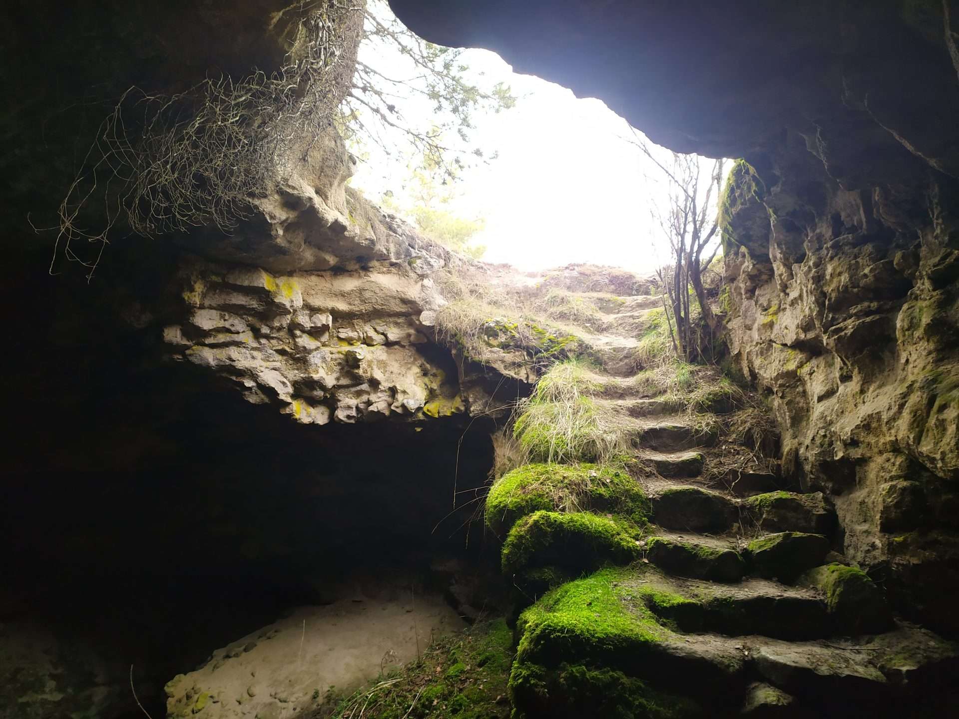 IMG_20210221_135036(2)