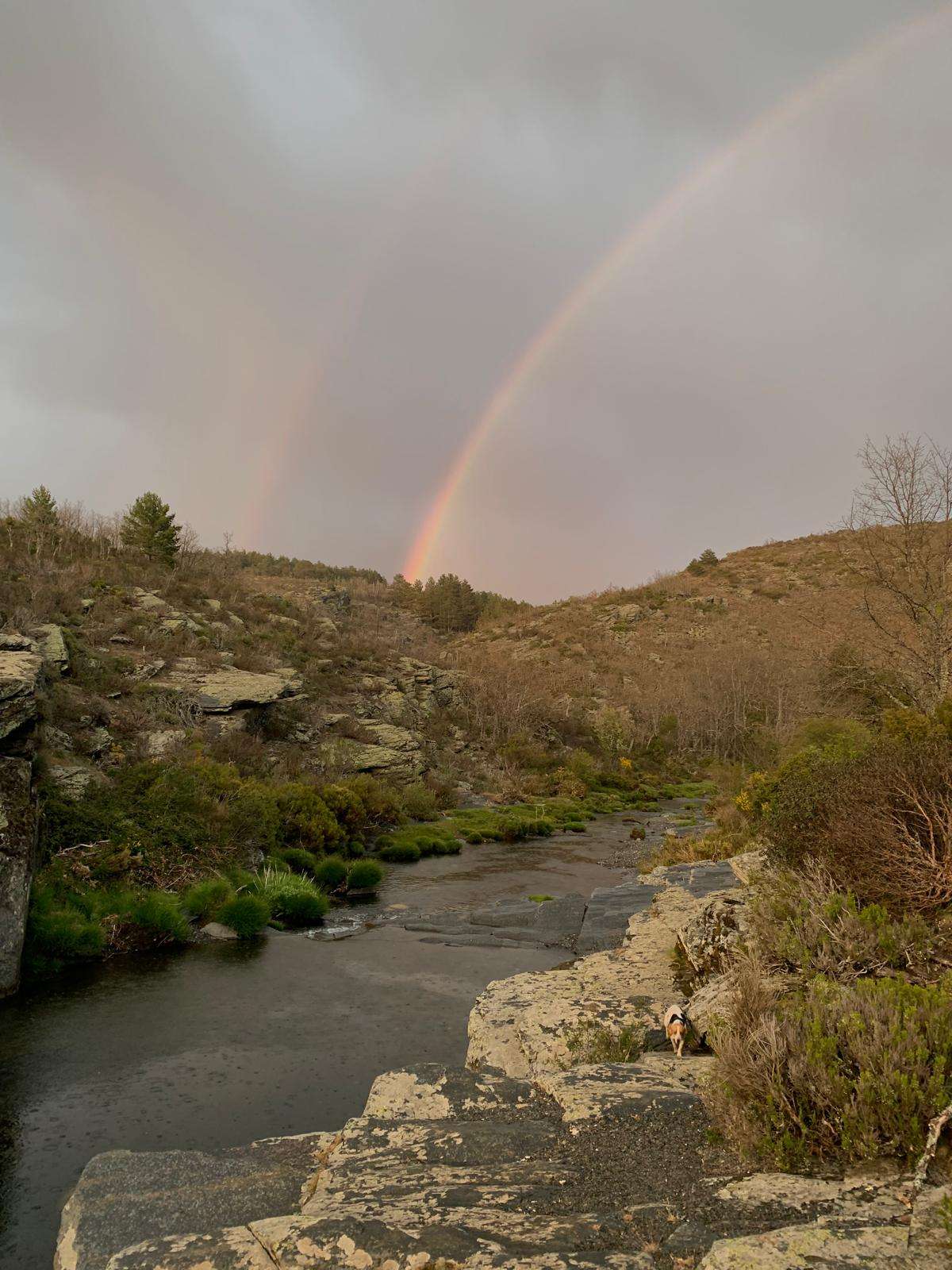 WhatsApp Image 2024-06-06 at 13.46.43