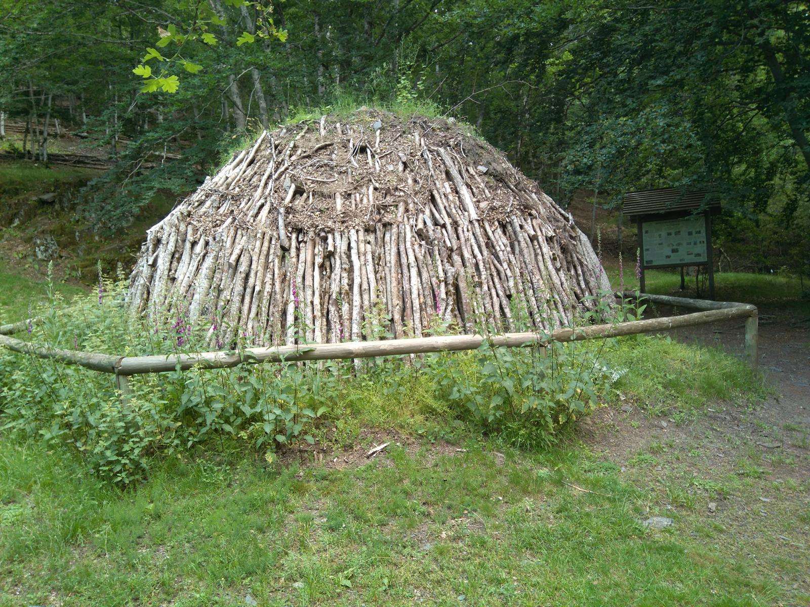 WhatsApp Image 2024-06-06 at 13.58.59