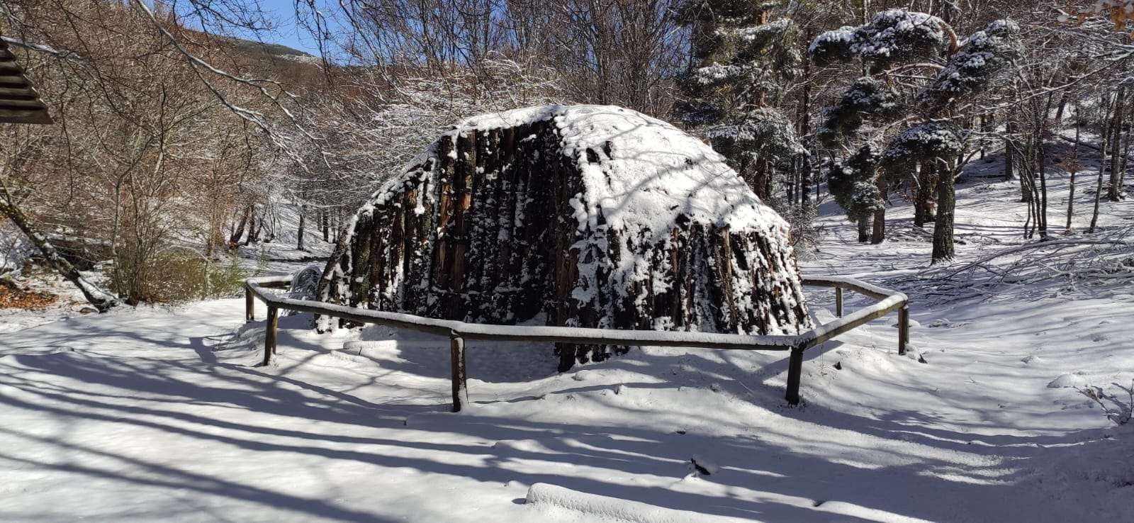 WhatsApp Image 2024-06-07 at 11.05.49 (1)