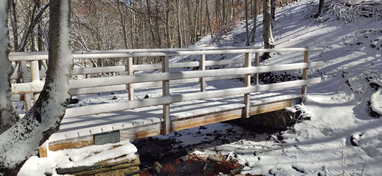 WhatsApp Image 2024-06-07 at 11.05.50