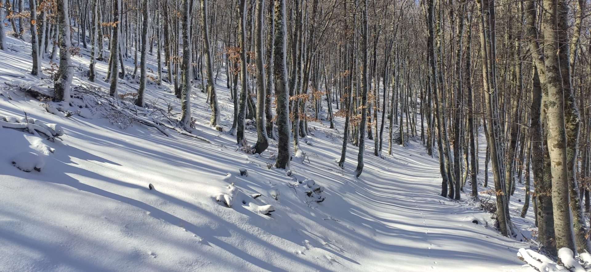 WhatsApp Image 2024-06-07 at 11.05.52