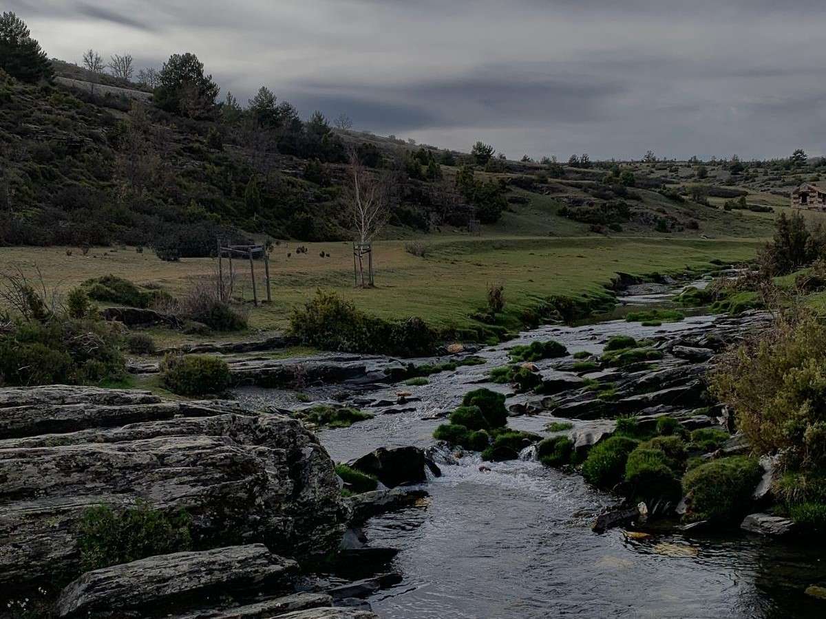 WhatsApp Image 2024-06-11 at 11.15.01