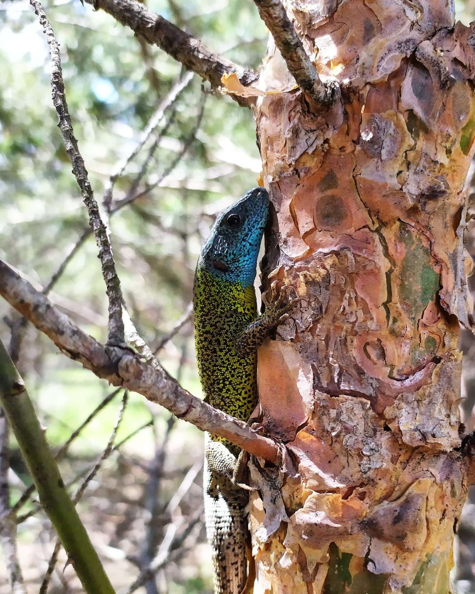 WhatsApp Image 2024-06-11 at 11.56.32