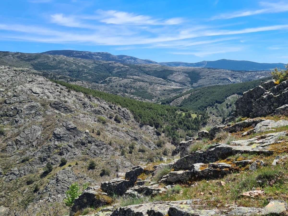 WhatsApp Image 2024-06-11 at 12.41.49